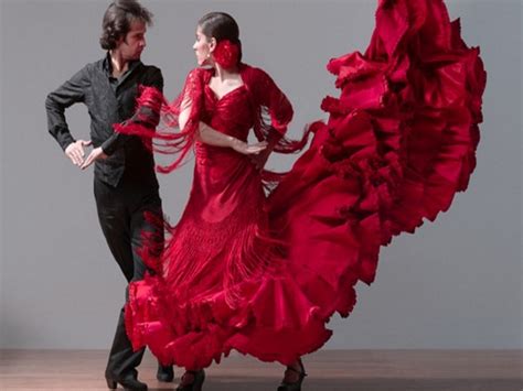 flamwnfo|che cos'è il flamenco.
